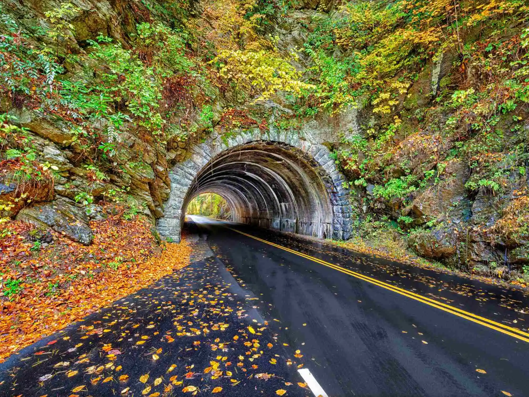 Great Smoky Mountains A Driving Tour of Ol Rocky Top Tennessee image