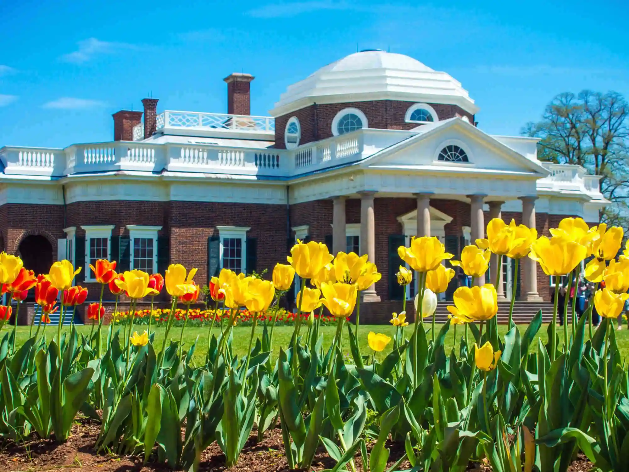 Historical Walking Tour of Thomas Jeffersons Monticello Virginia image