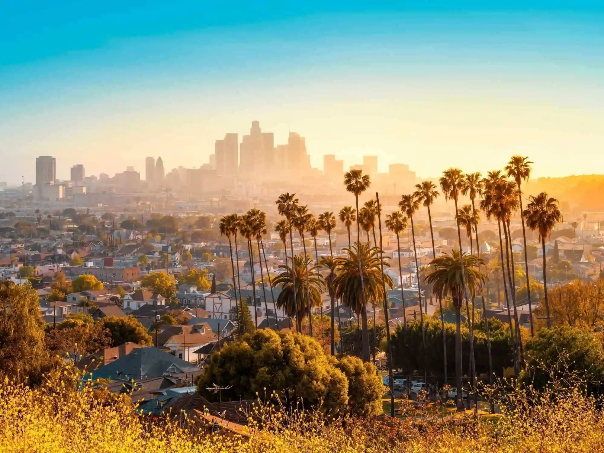 The Ultimate Los Angeles California Driving Tour image