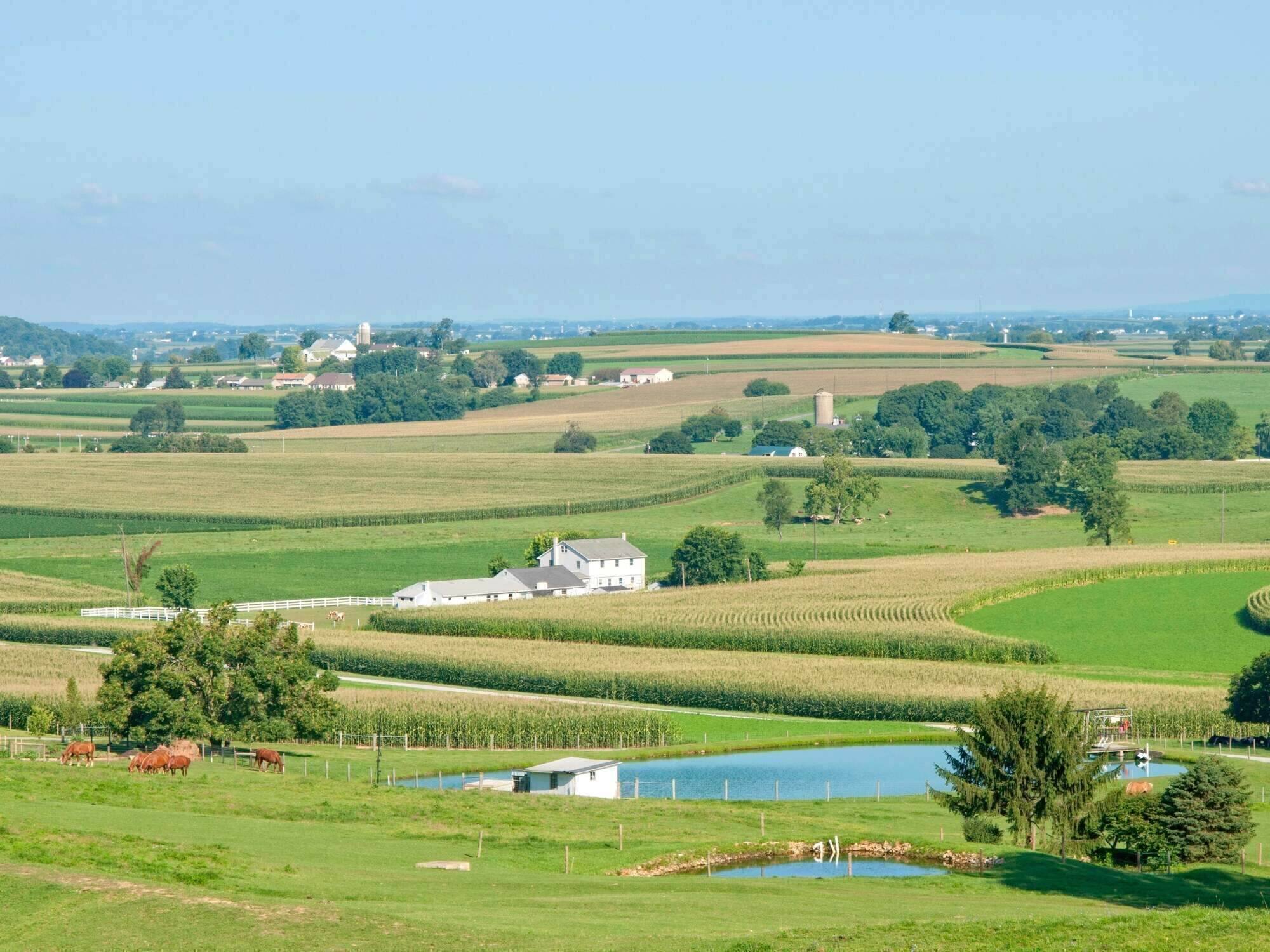 Tour Image