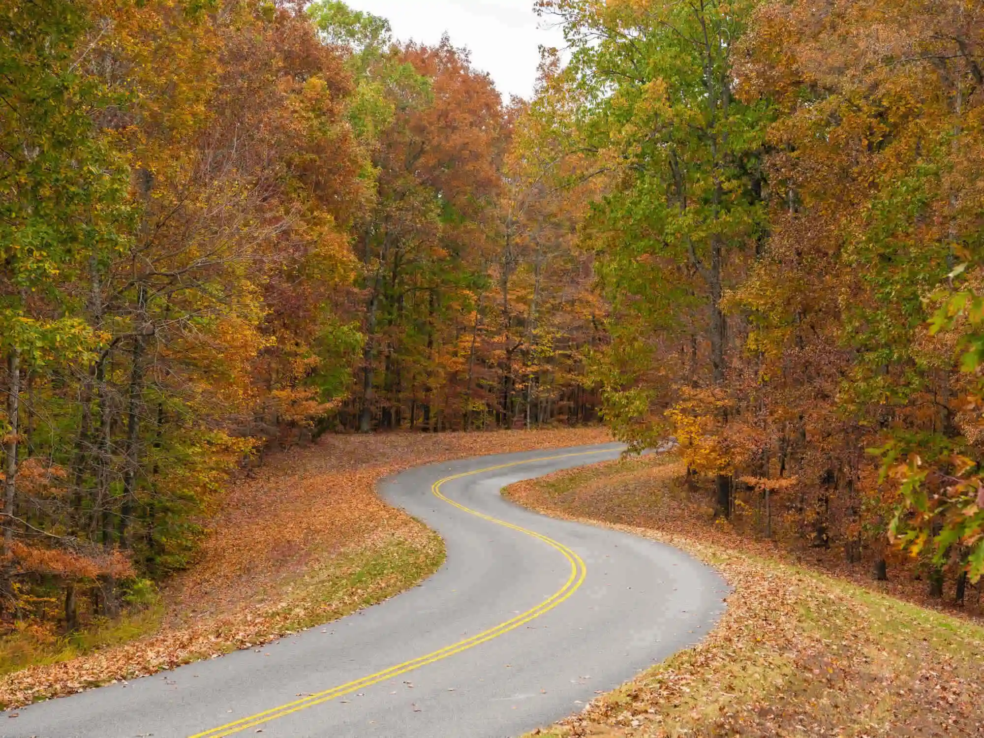 Tennessees Best Roadtrip SelfGuided Driving Tour from Memphis to Nashville image